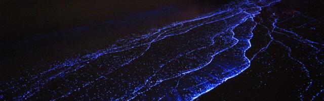 Plaža koja sija kao galaksija: Čudo prirode na Maldivima