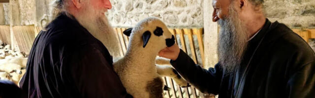 Патријарх Порфирије обишао имање манастира Високи Дечани на Васкрсни понедељак