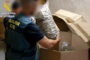 Шпанија, рат против марихуане - заплењено 32 тоне
