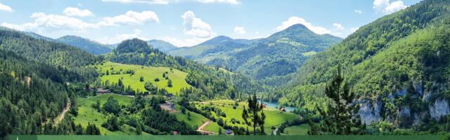 Međunarodni dan biodiverziteta