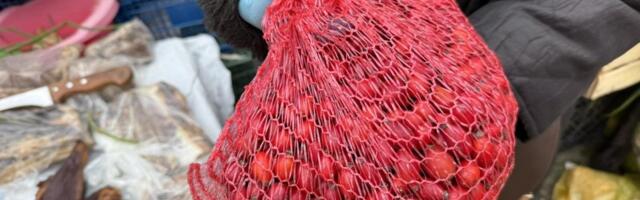 Šipak drži cenu: Ko bi rekao da je tražen i ovom obliku