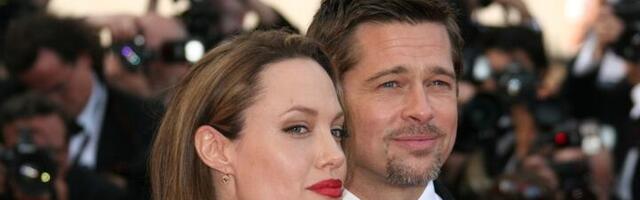 Bred tuži Anđelinu: Prodala je njegovo životno delo oligarhu