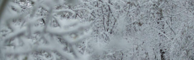 Драматична акција ГСС-а: Троје планинара пронађено у Горском котару