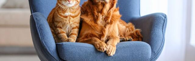 Tramp potpisao istorijski zakon: Američka vojska više neće koristiti pse i mačke u obuci i eksperimentima