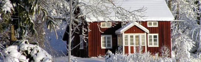 Čudo prirode kod Ćuprije! OVO se pojavilo u bašti: Kruži neverovatna fotografija, komentari pljušte