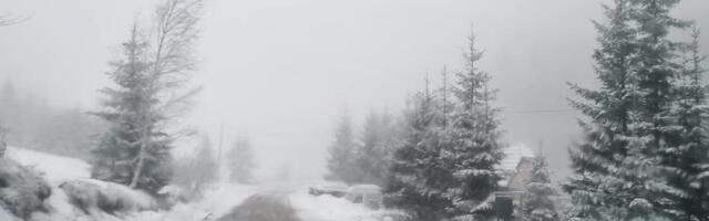 Šta znači kada na Sretenje pada sneg? Ovo narodno verovanje vekovima je ukorenjeno