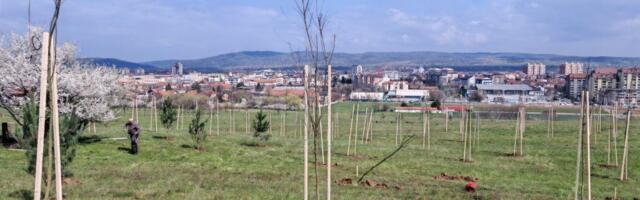 POSAĐENO NOVIH 430 SADNICA NA BAGDALI: Velika ekološka akcija u Kruševcu