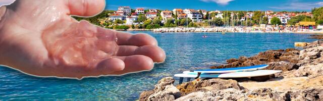 "Meduza bi mogla da đubri naša polja": Hrvati eksperimentišu sa "ekološkim gnojivom", planiraju ga za lubenicu