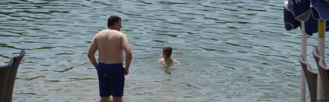 "Jel isplivala?" Kupači na Adi nisu ni primetili šta roni pored njih, zverka neprimetno prišla, a onda nestala