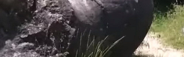 Ovo kamenje raste i pomera se samo od sebe (VIDEO)