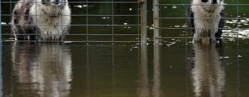 Poplavljena urbana područja na jugu Floride u naletu tropske oluje