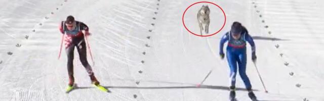 "Vuk" jurio Hrvaticu tokom trke, šou na Zimskim olimpijskim igrama