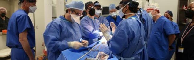 Humanost koja menja sudbinu pacijenata u Srbiji: Od početka godine urađene sledeće transplantacije