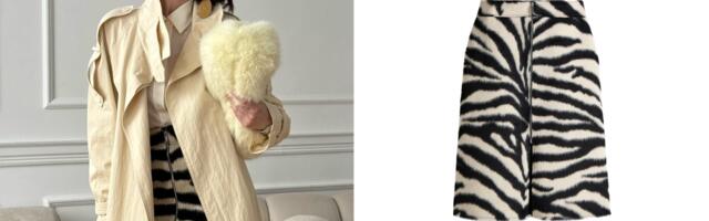 Nakon zmijskog dezena, u fokus se vraća i zebra print!