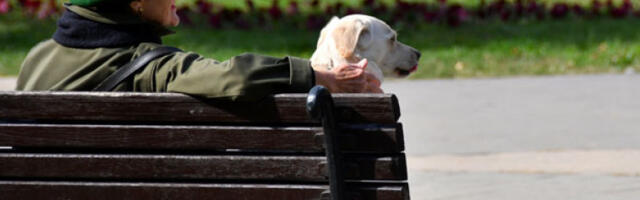 И сутра магловито и облачно