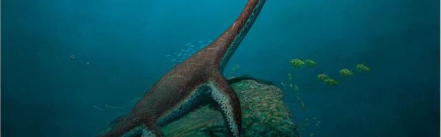 Prvi pleziosaurus otkriven u Alžiru popunjava prazninu iz perioda krede