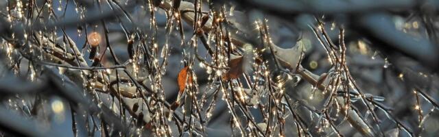 Kakav mart je pred nama? Oglasio se RHMZ: Ovo je detaljna prognoza