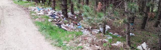 U Novom Pazaru 21 divlja deponija, veliki problem životinjski otpad