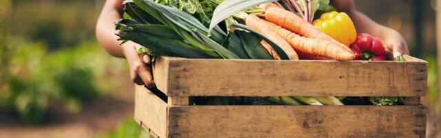 Nemate vremena za baštu? Poslušajte najpoznatiju srpsku baštovanku - ove biljke rastu same i brzo daju rod