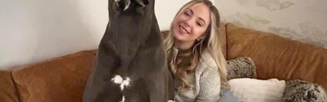 Donela sam psa kao štene kući i nisam mogla da verujem šta ću dočekati: Kad ga šetam ulicom ljudi nas gledaju u neverici