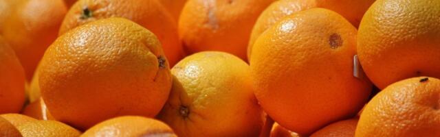 FOTO, VIDEO Neobična tradicija: Italijani se svake godine gađaju pomorandžama