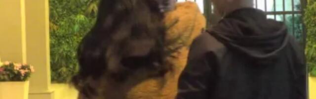 TRUDNU ANITU STANOJLOVIĆ ODVODE KOD DOKTORA! Čitava Srbija na nogama, čeka se REZULTAT DNK ANALIZE!