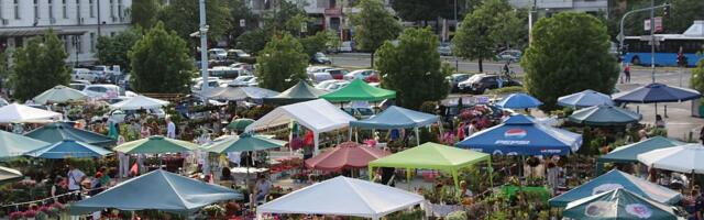 Prva prolećna Novosadska cvetna pijaca u petak i subotu