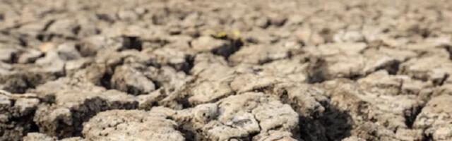 Očekuje se da El Niño obori toplotne rekorde 2024.  