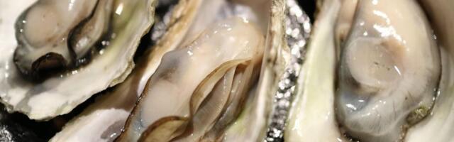 U Napulju za samo jedan dan potvrđena 84 slučaja hepatitisa A, a krive su - dagnje