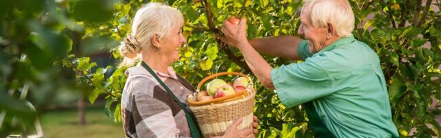 Nova studija pokazuje: Način na koji gledate na starenje direktno utiče na vaše zdravlje i dugovečnost