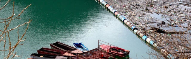 На обали Дрине пронађено девет угинулих свиња у распадању