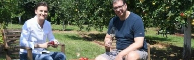 Ljubodrag Stojadinović: Lepotica i Tvorac