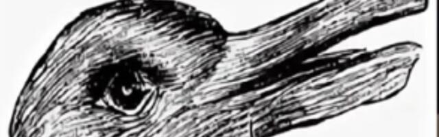 Šta prvo vidite - zeca ili patku? Ova optička iluzija otkriva da li ste kreativna ili logička osoba (VIDEO)