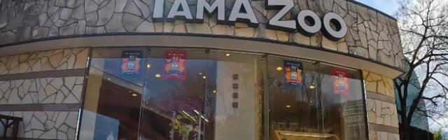 Ухваћен евроазијски вук који је побегао из зоолошког врта у Токију