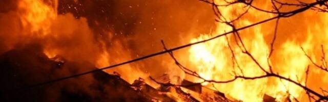 BILI BLISKE KOMŠIJE VELJKA RAŽNATOVIĆA! Susedi otkrili jezive detalje tragedije u kojoj su stradali supružnici u Titelu - ZET POKUŠAO DA IH SPASE, ALI NIJE USPEO!