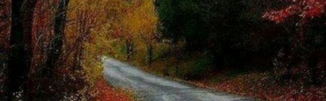 HOROSKOP ZA PONEDELJAK. 11. OKTOBAR Devicu čeka neprijatno iznenađenje, Bika fatalna ljubav, Strelca pad imuniteta