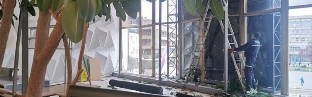 Када се орезује највећи фикус на Балкану, чека се у реду за његов пелцер
