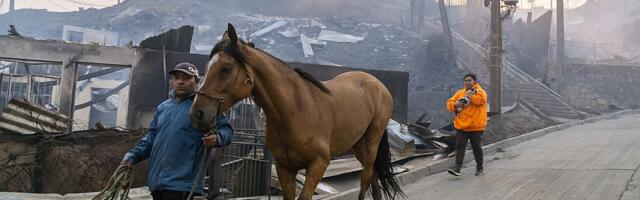 Predsednik Čilea proglasio vanredno stanje zbog požara