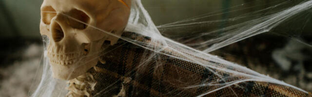 Мистерија у школском дворишту: ђаци пронашли скелет у седећм положају