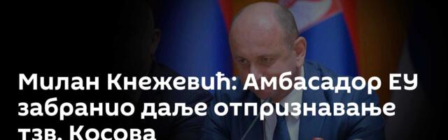 Милан Кнежевић: Амбасадор ЕУ забранио даље отпризнавање тзв. Косова