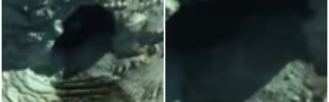 Pojavila ponovo posle 12 godina: Da li je to tajna skrivena baza?