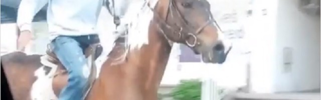 HIT Konj galopirao po Ceraku i preticao vozila (VIDEO)