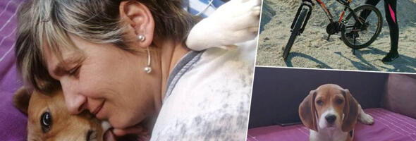 Čudesna priča: Na Kragujevčanku Sanju je njen bigl Tobi iz čista mira zarežao, pa udario. Ispostavilo se da joj je time spasao život