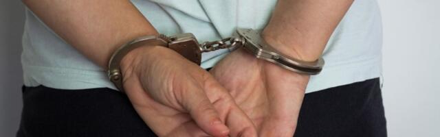 NAJBIZARNIJA KRAĐA U BEOGRADU: Uhapšen zbog delfina