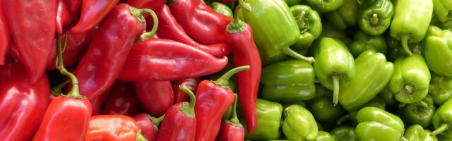 Paprika ove godine ne donosi zaradu