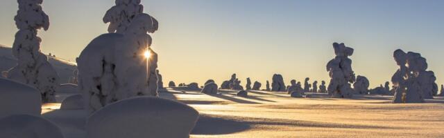 Jedinstveni fenomen prirode: Da li ste čuli za snežna čudovišta?