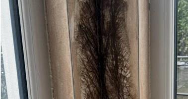 Renovirao kuću, skinuo tapete i zabezeknuo se: "Isuse, ovo je problem epskih razmera" (Foto)