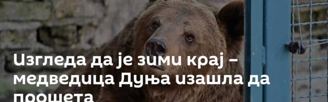 Изгледа да је зими крај – медведица Дуња изашла да прошета