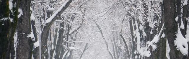 Deo Balkana zavejan, meteorolozi očekuju pola metra snega: Ljudi upozoreni da ne izlaze, škole zatvorene