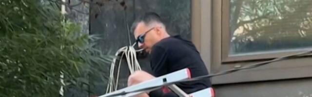 Orangutan Manojlović spreman na sve zarad popularnosti: Savo svojim majmunisanjem ugrozio živote ljudi (VIDEO)